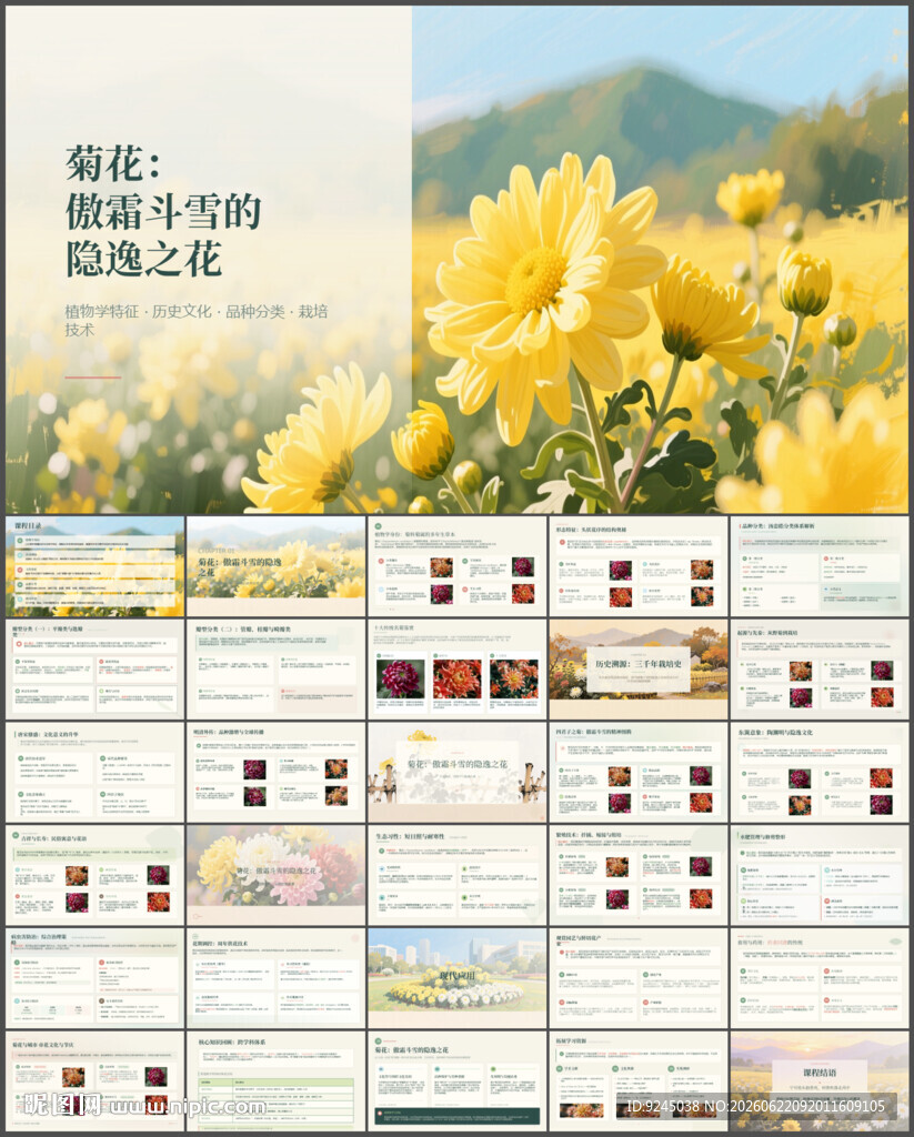隐逸之花菊花介绍课件ppt