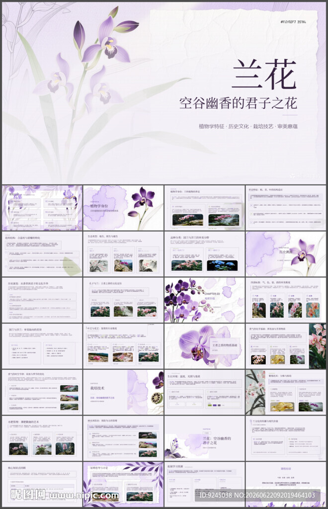 空谷幽香兰花介绍主题课件PPT