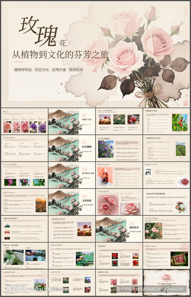 从植物到文化玫瑰花介绍ppt