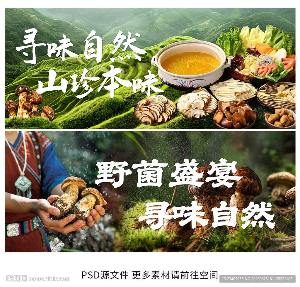 野生菌