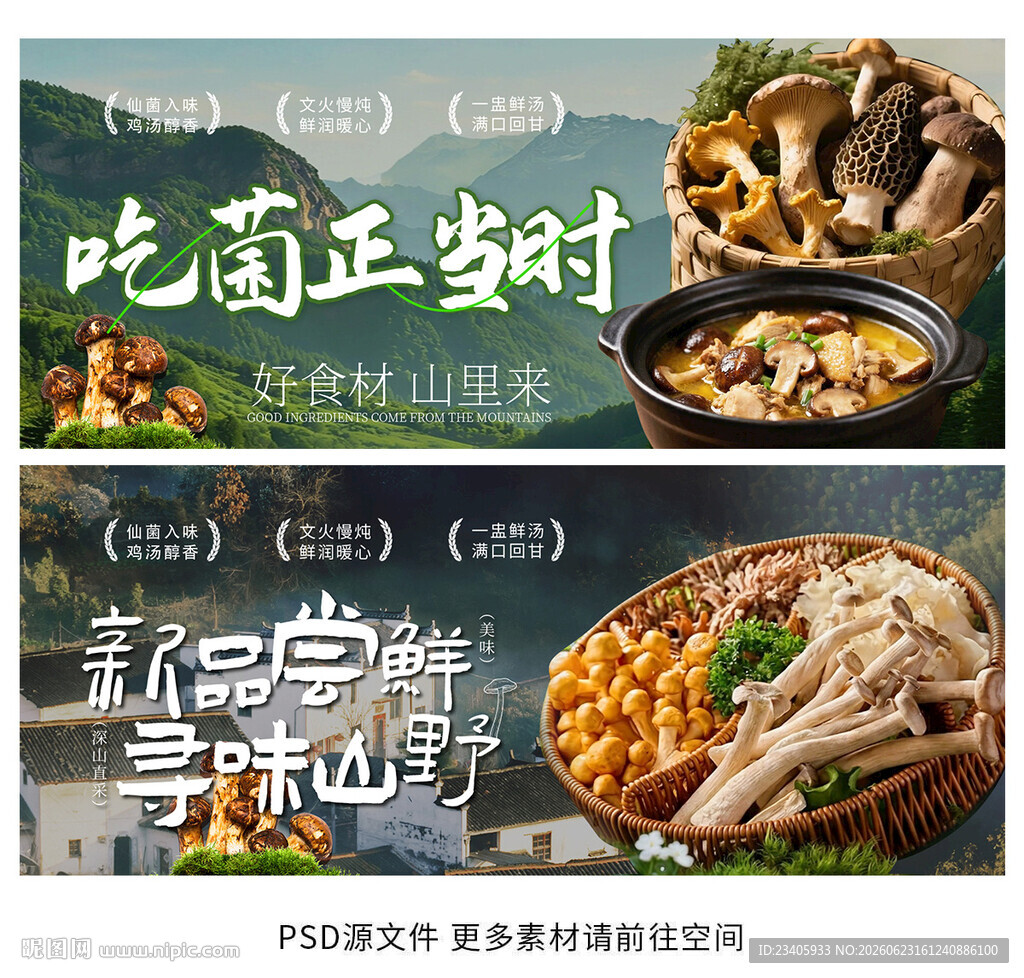 野生菌