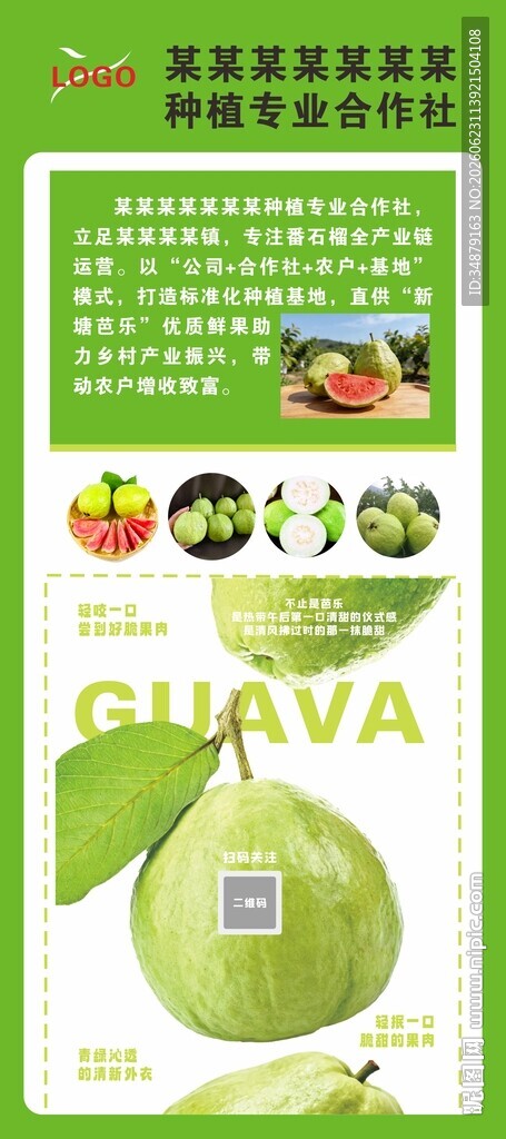 番石榴种植基地专业合作社海报