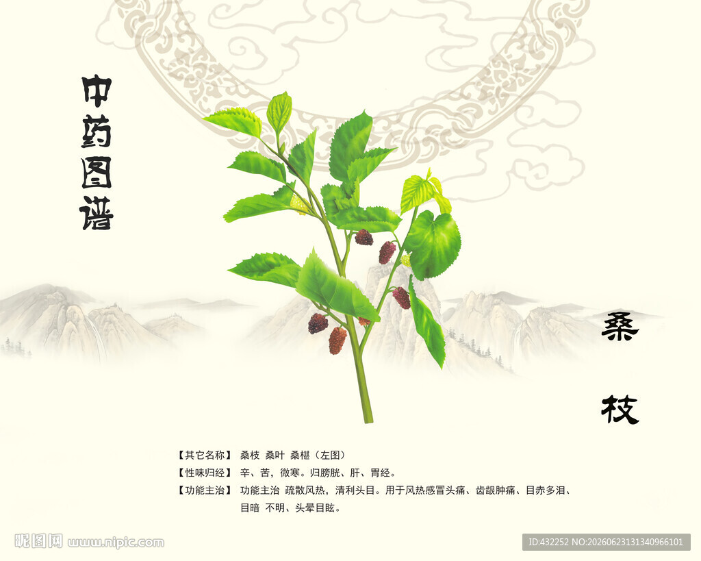 中药桑枝桑皮展示图