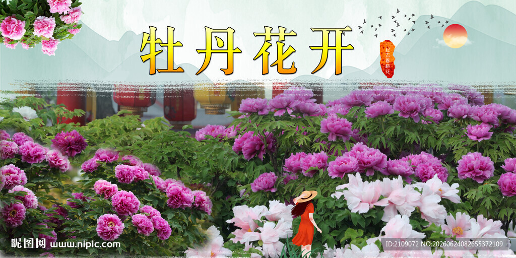 牡丹 