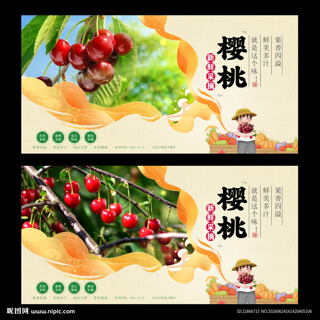 樱桃