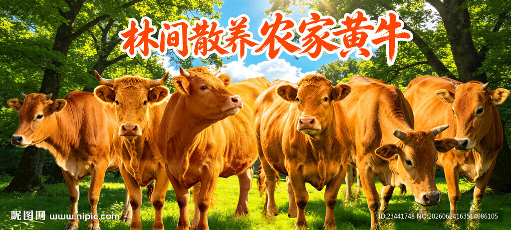 黄牛海报