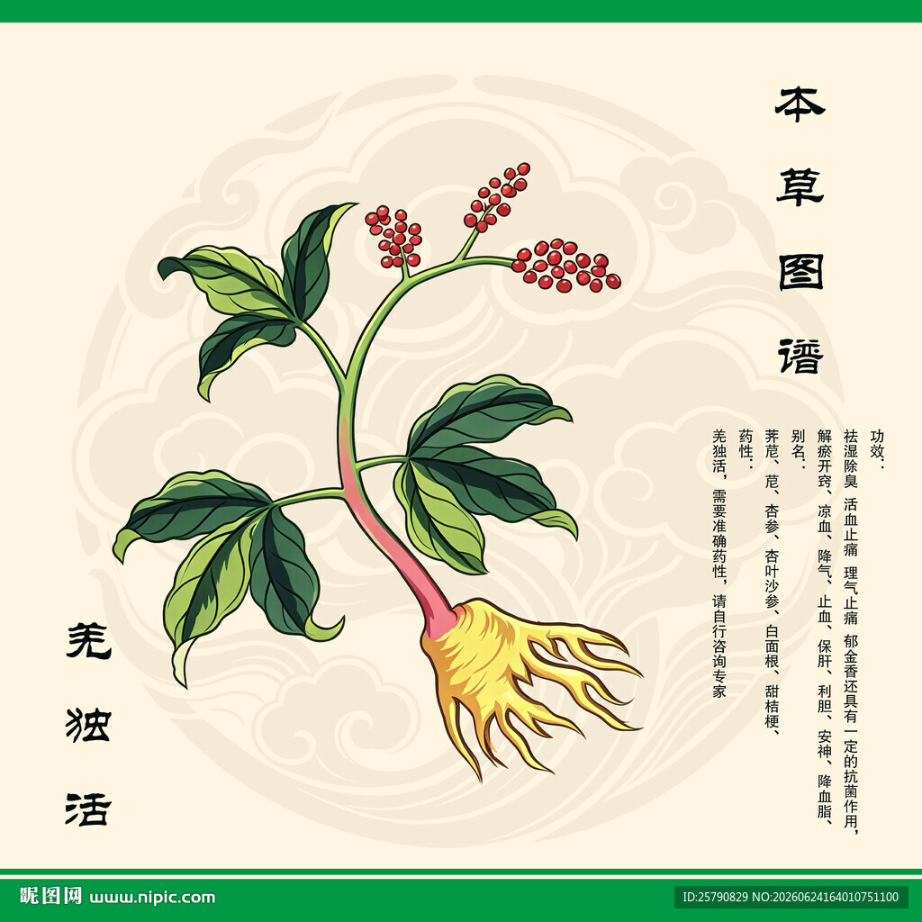 羌活羌独活
