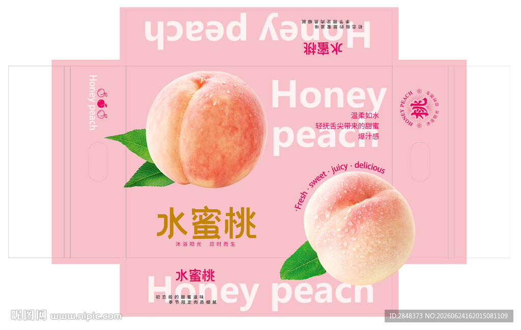 专粉水蜜桃平面展开图
