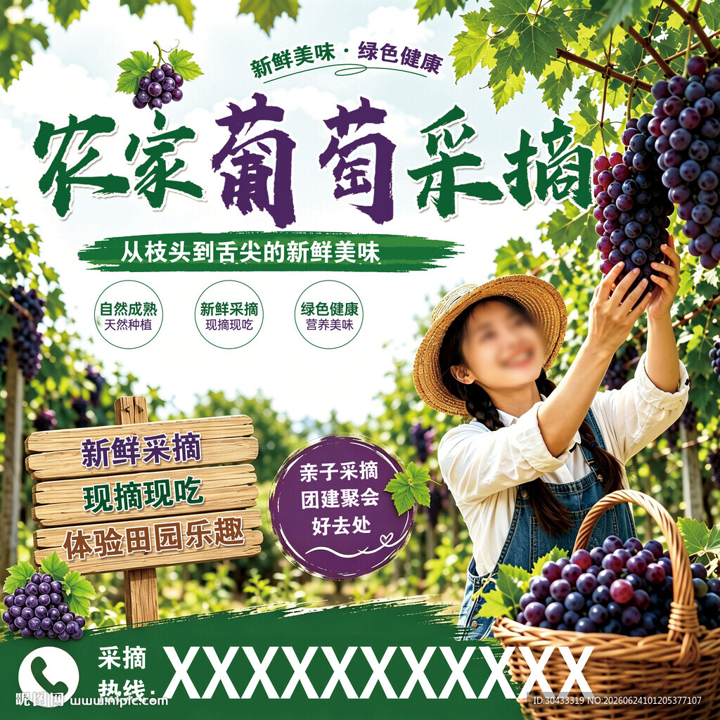 农家葡萄采摘欢乐场景