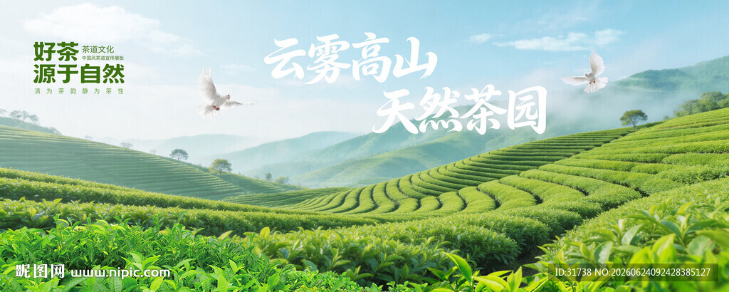 高山茶园