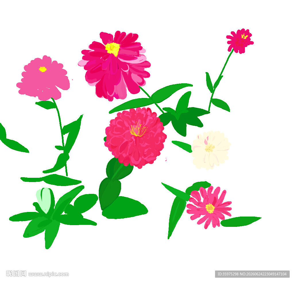 多彩花卉插画