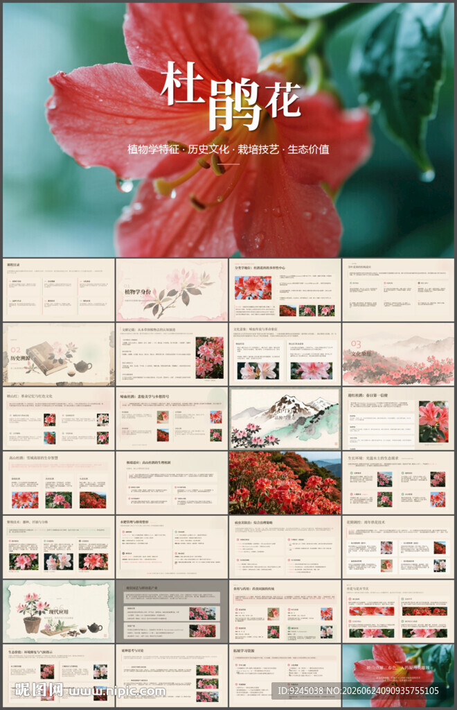 古风典雅花卉杜鹃花介绍PPT