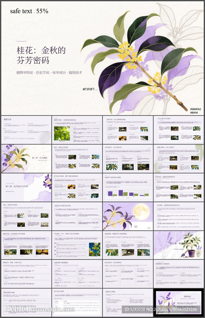花卉植物桂花介绍ppt课件