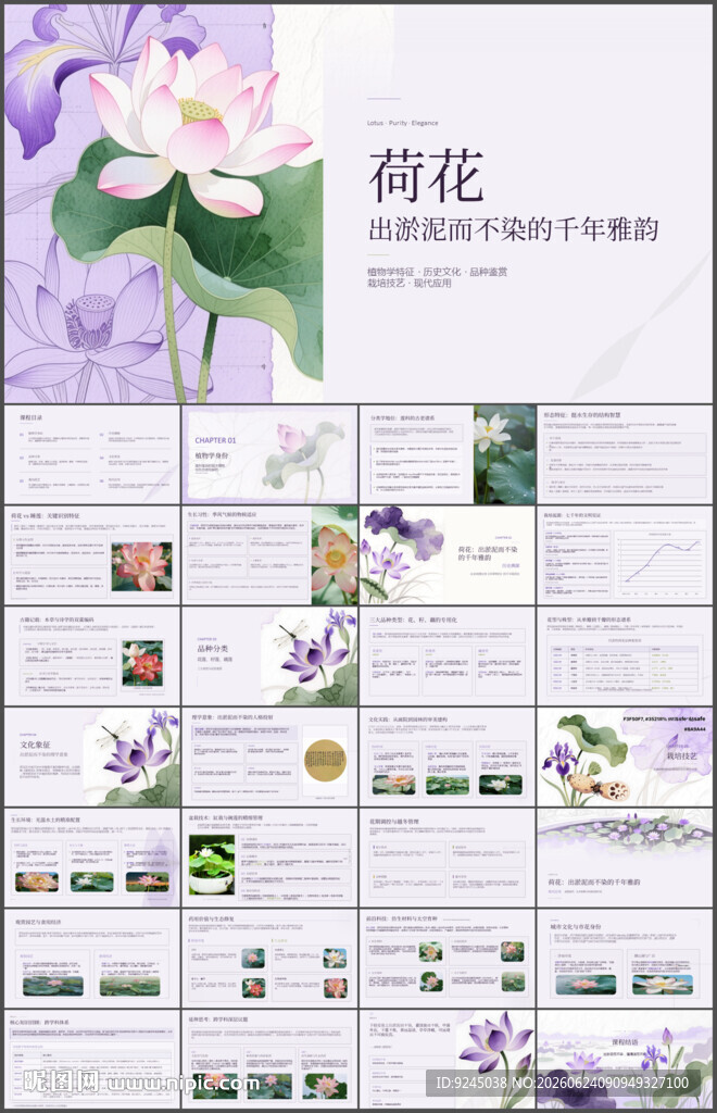 出淤泥而不染荷花主题PPT课件