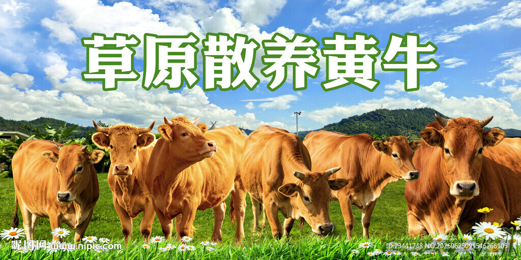 黄牛海报
