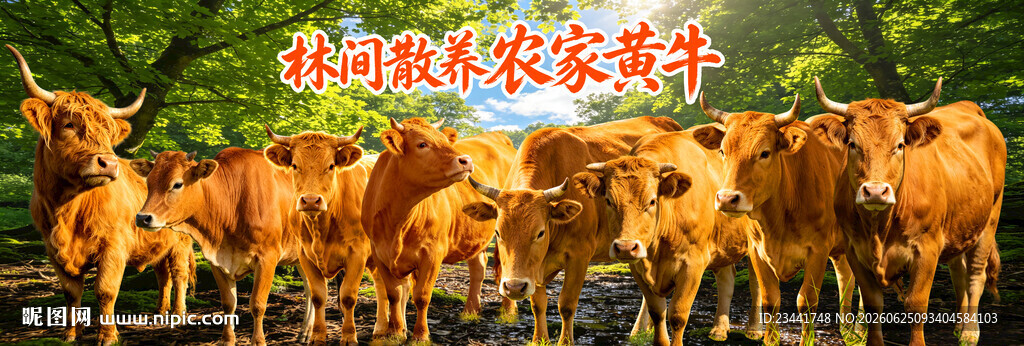 黄牛海报
