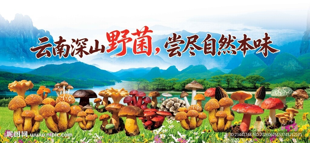 云南野生菌