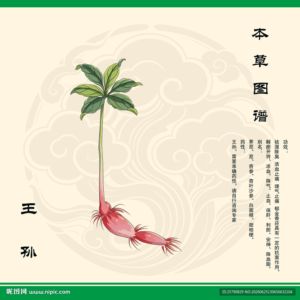 王孙植株图示