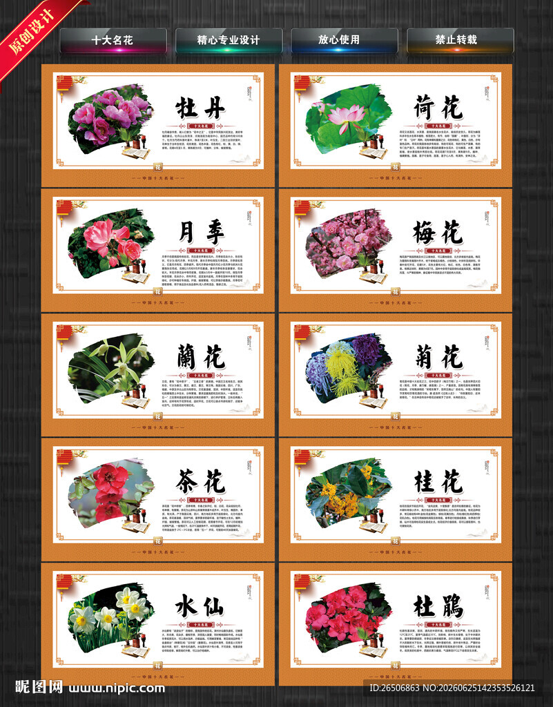 十大名花展板