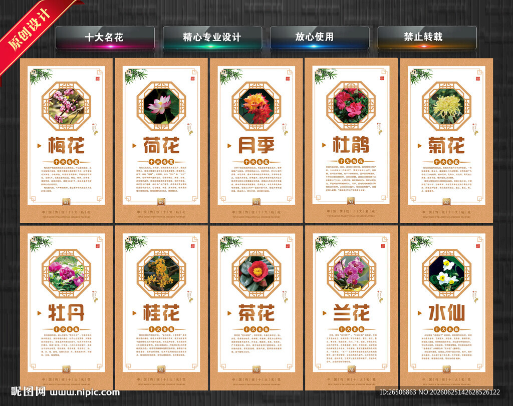 十大名花展板