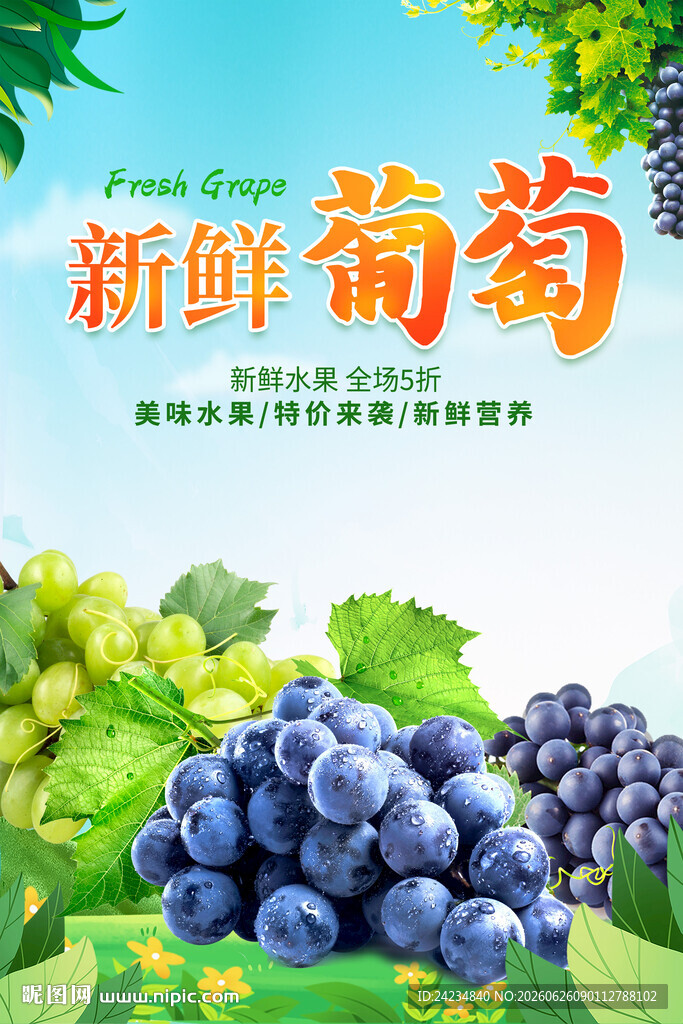 葡萄海报