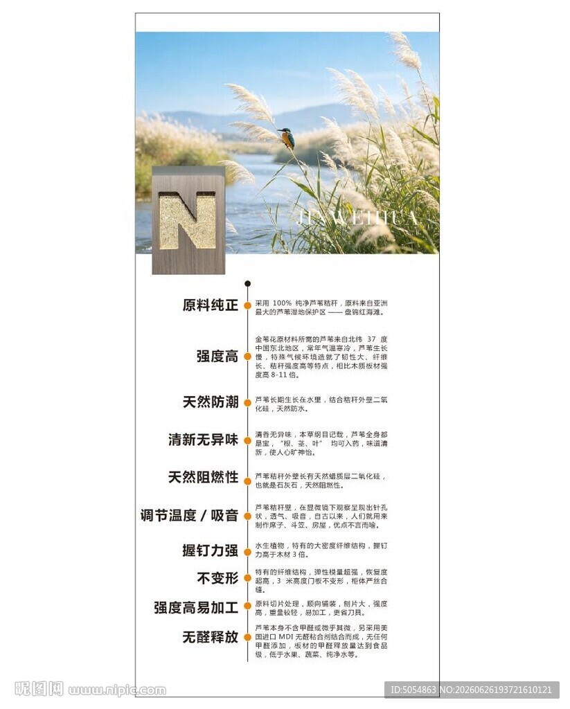 芦苇板海报