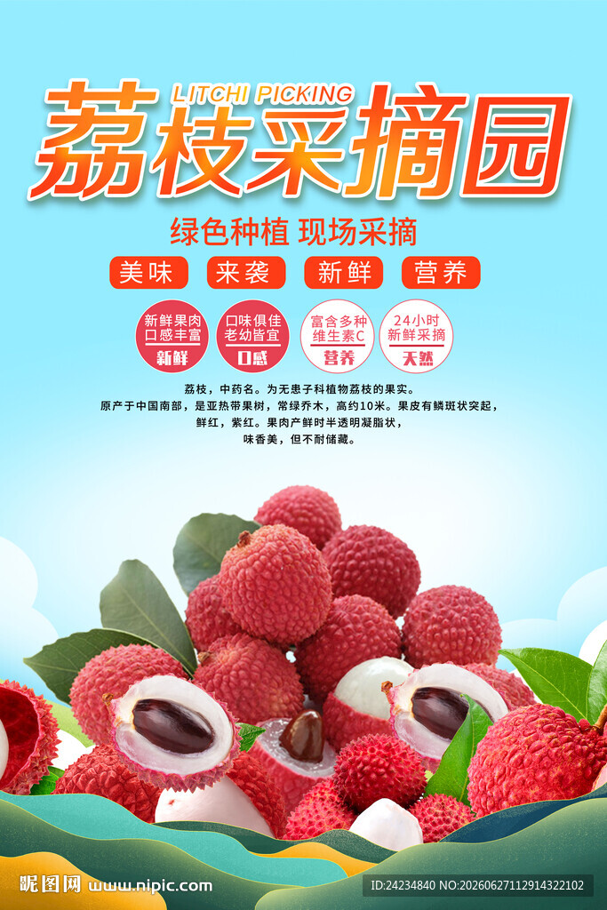 荔枝采摘海报