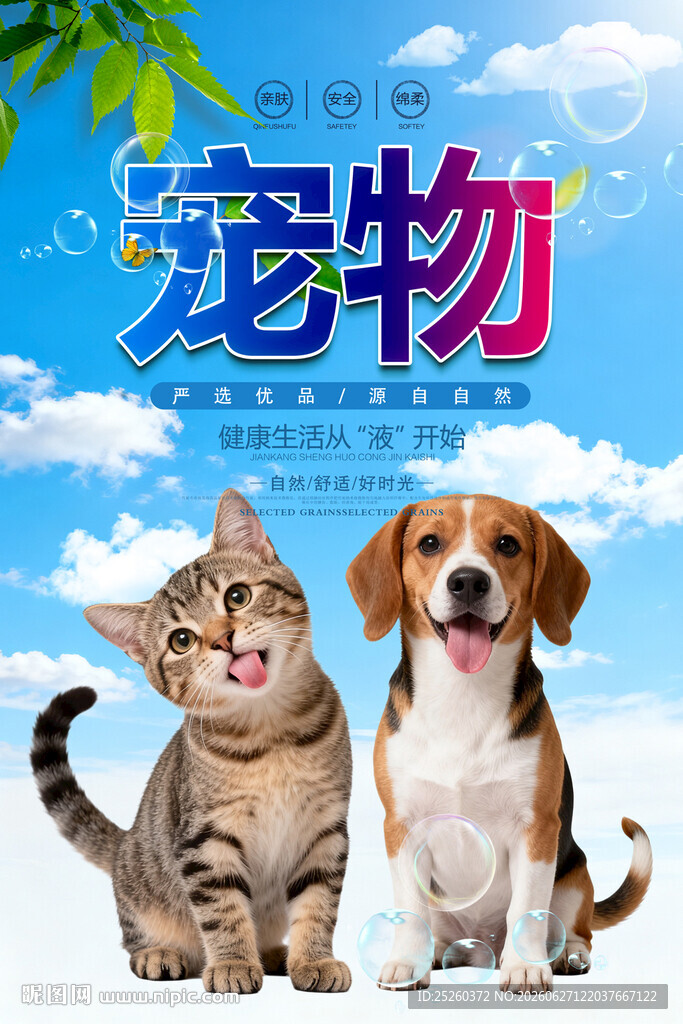 宠物