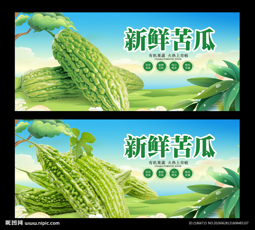 苦瓜