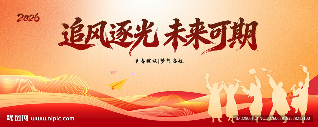 追风逐光未来可期海报