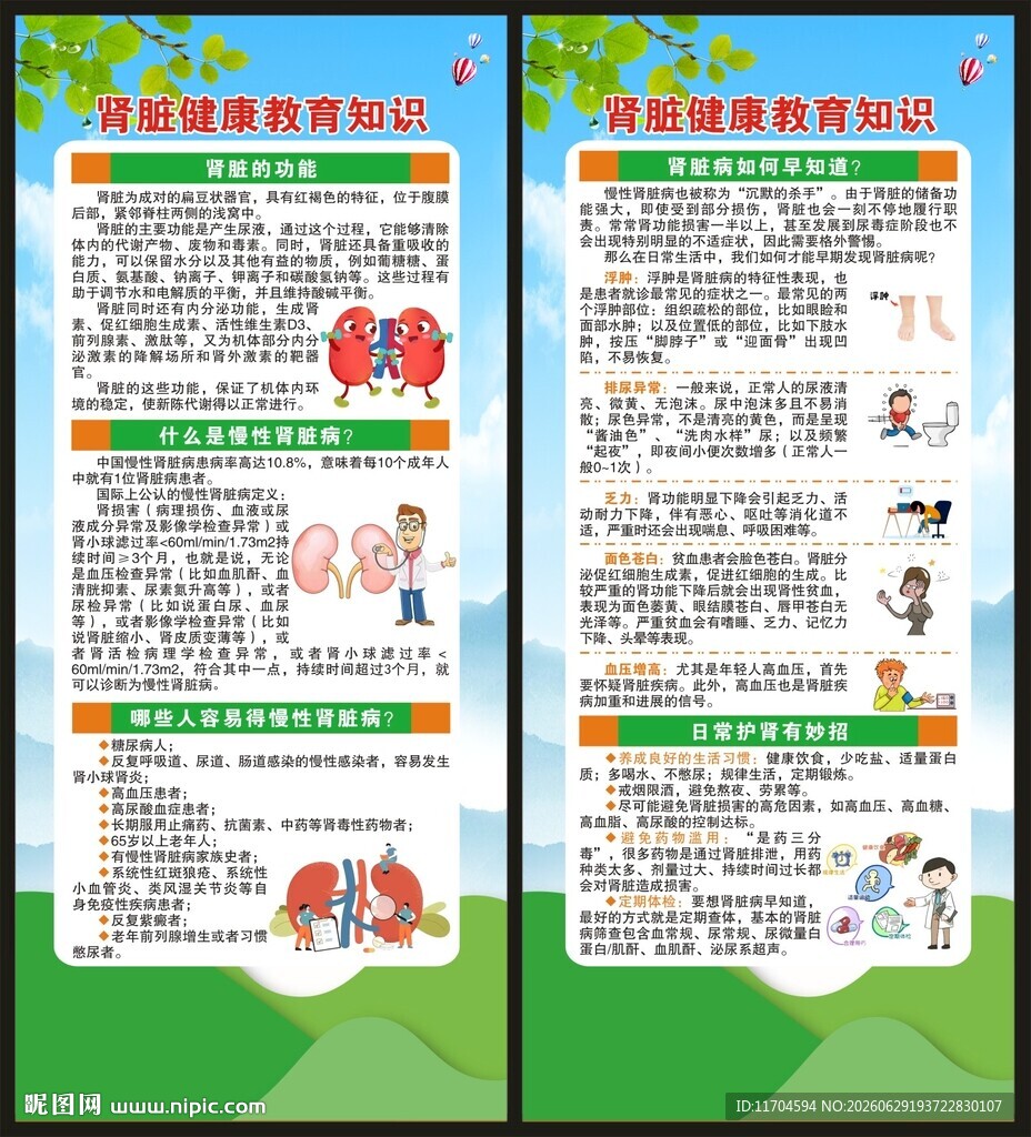 世界肾脏日展架