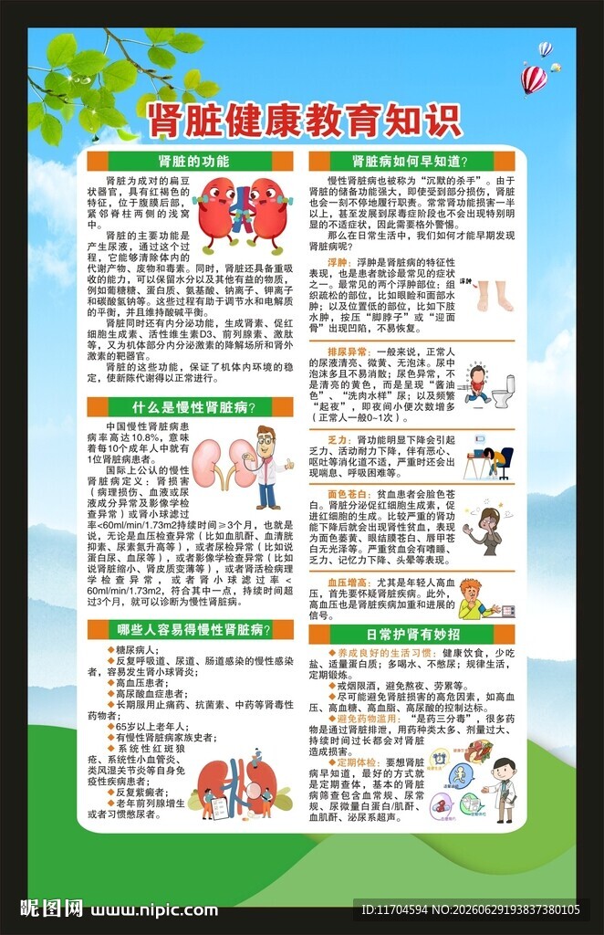世界肾脏日海报