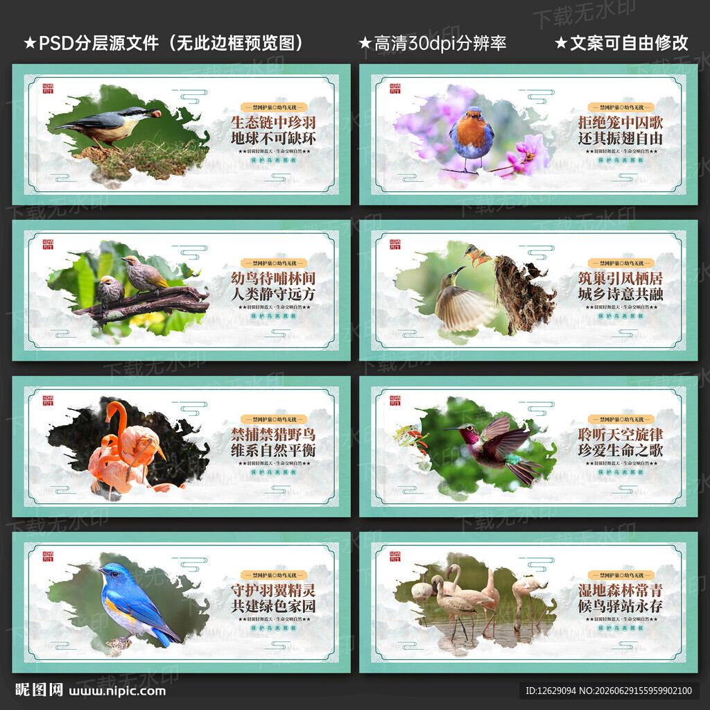 保护鸟类