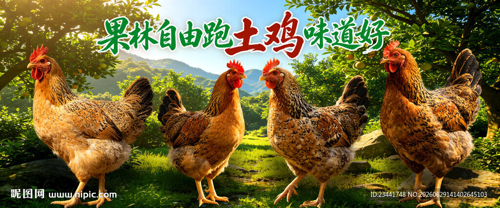 农家土鸡