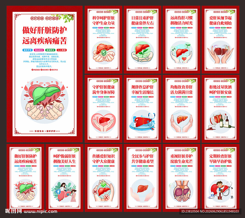保护肝脏