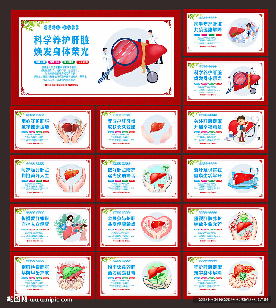 保护肝脏