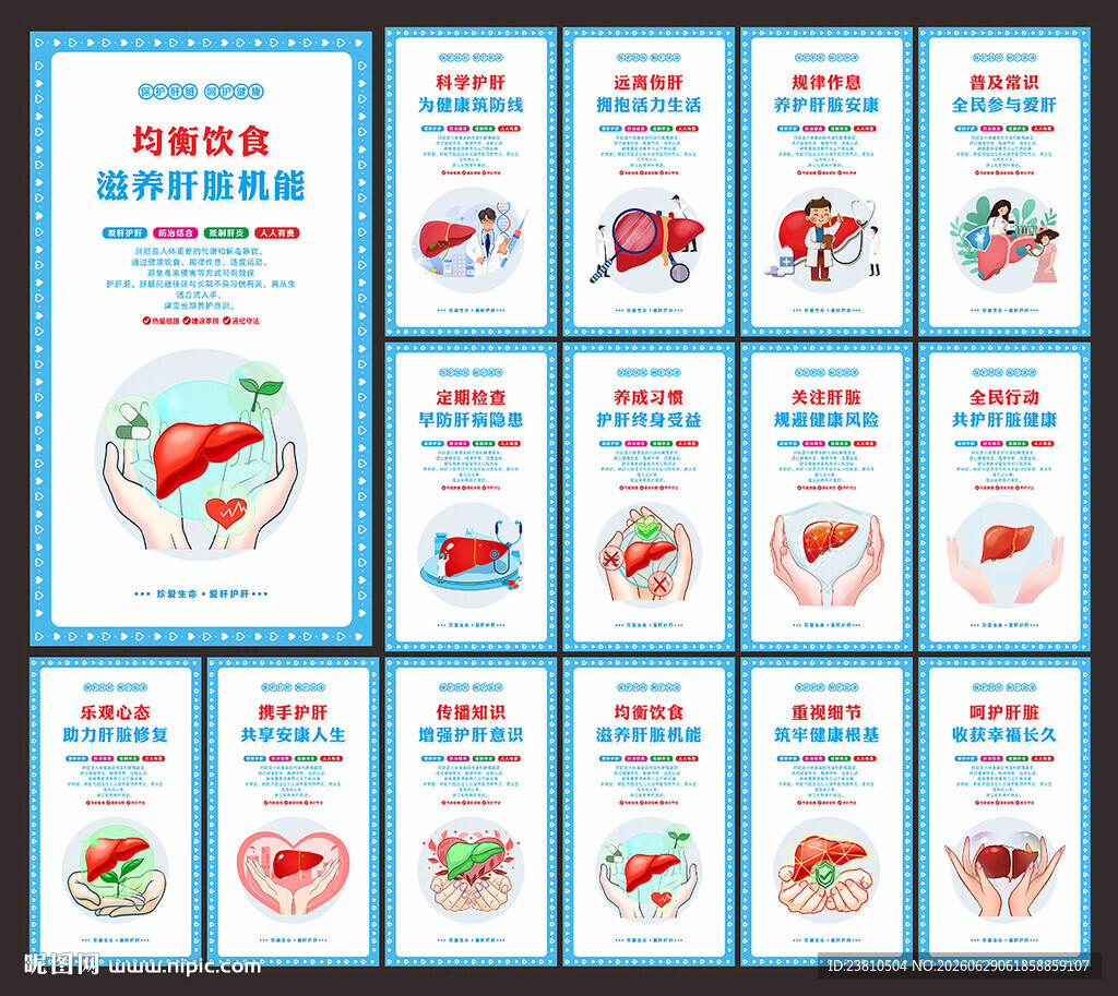 肝脏