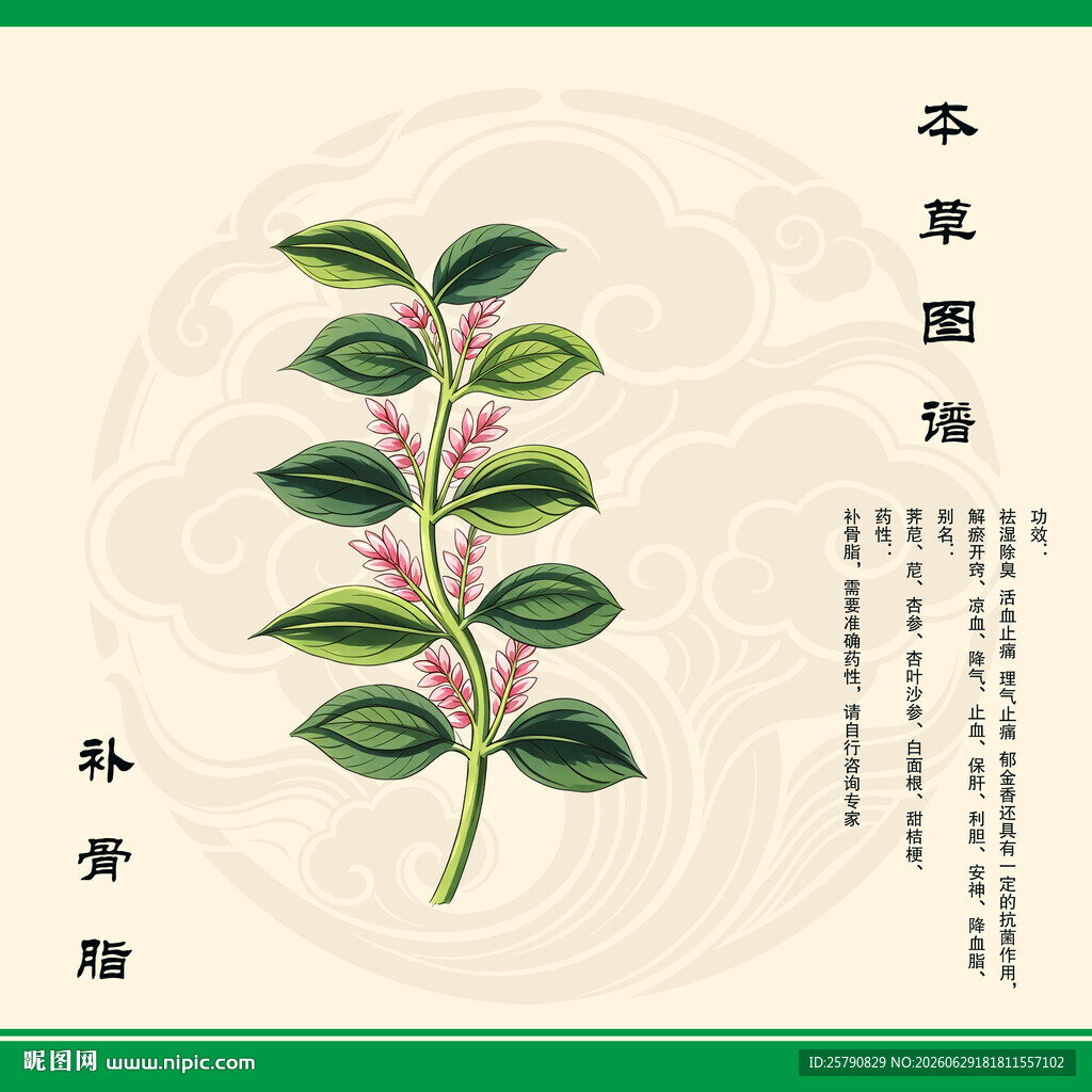 补骨脂手绘草本植物