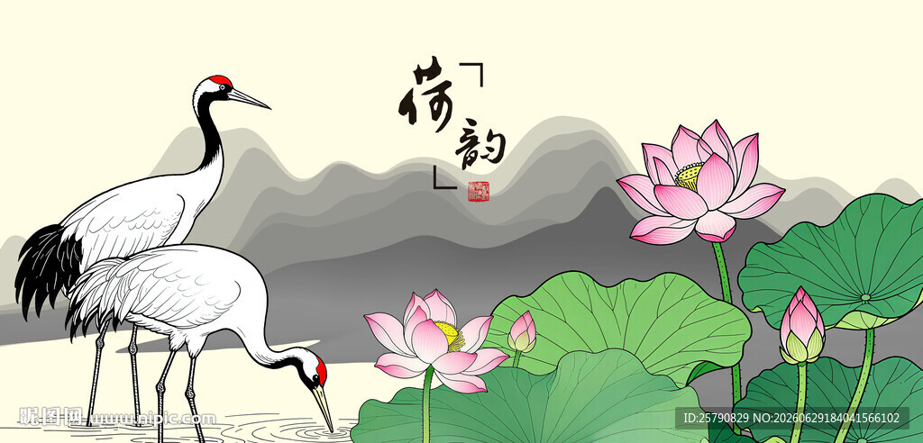 仙鹤白鹤丹顶鹤