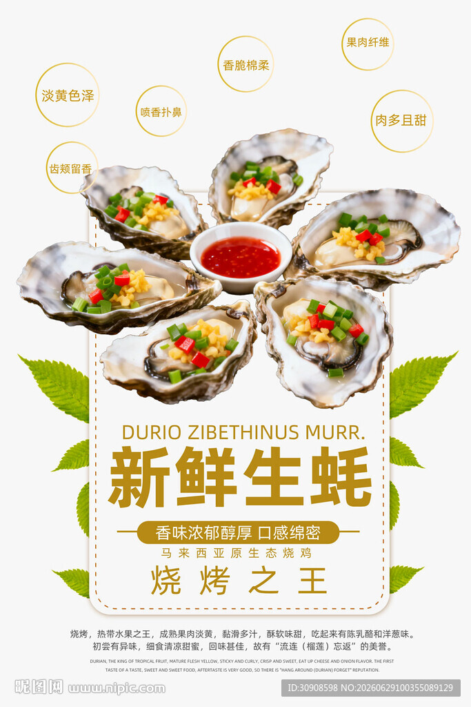 生蚝