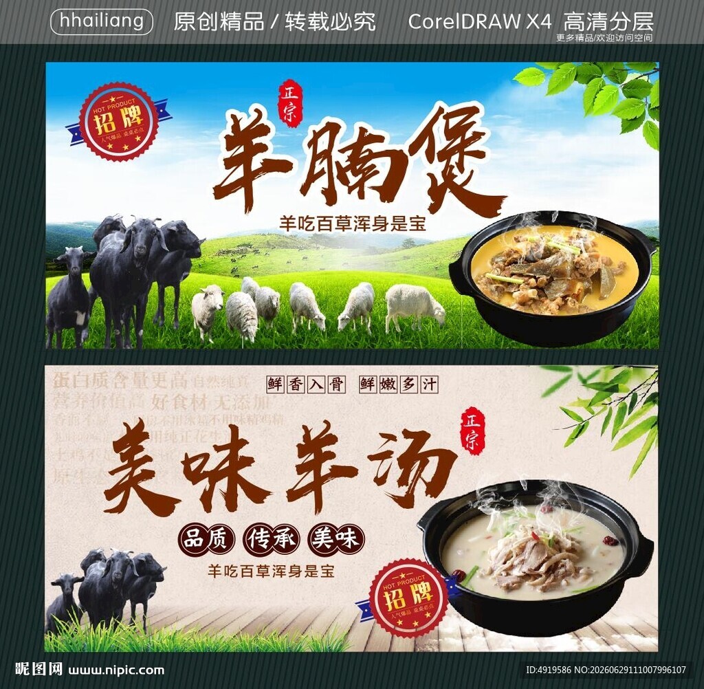 美味羊汤 羊腩煲