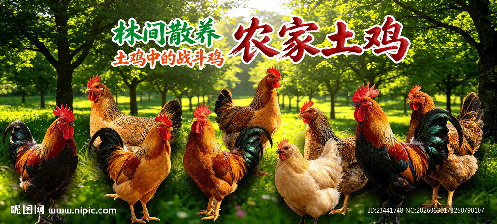 农家土鸡