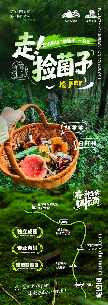 云南捡菌子一日游徒步