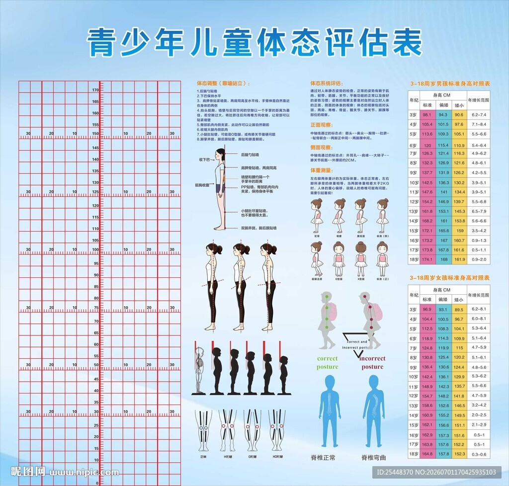 青少年儿童体态评估图表