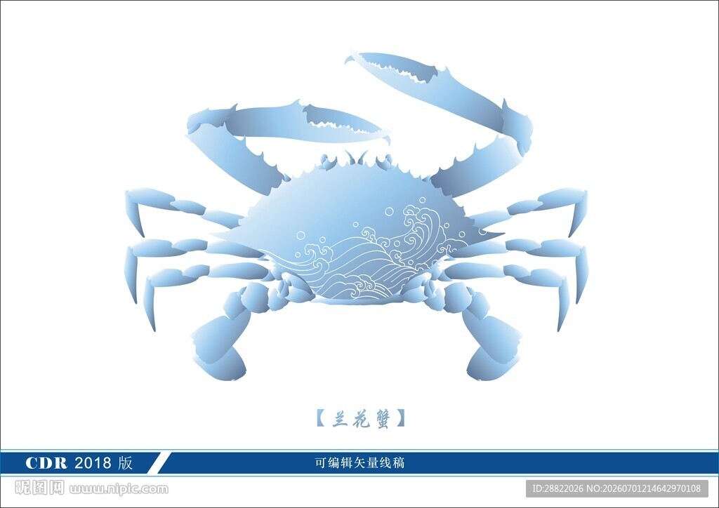 海蟹插画