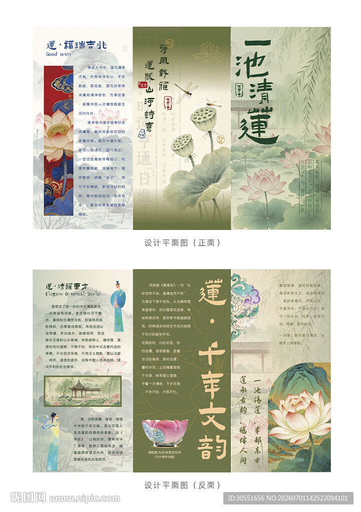 夏莲三折页设计