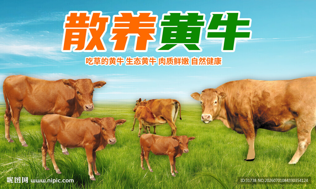 生态黄牛
