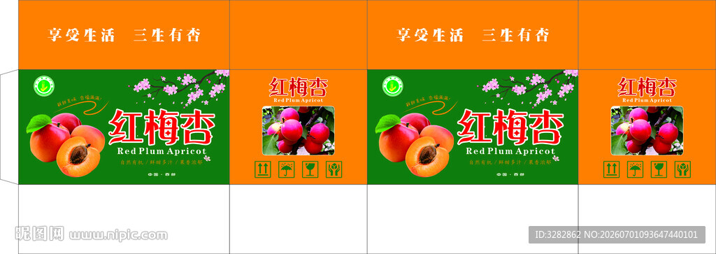 红梅杏包装矢量设计