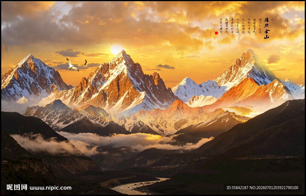 背靠金山