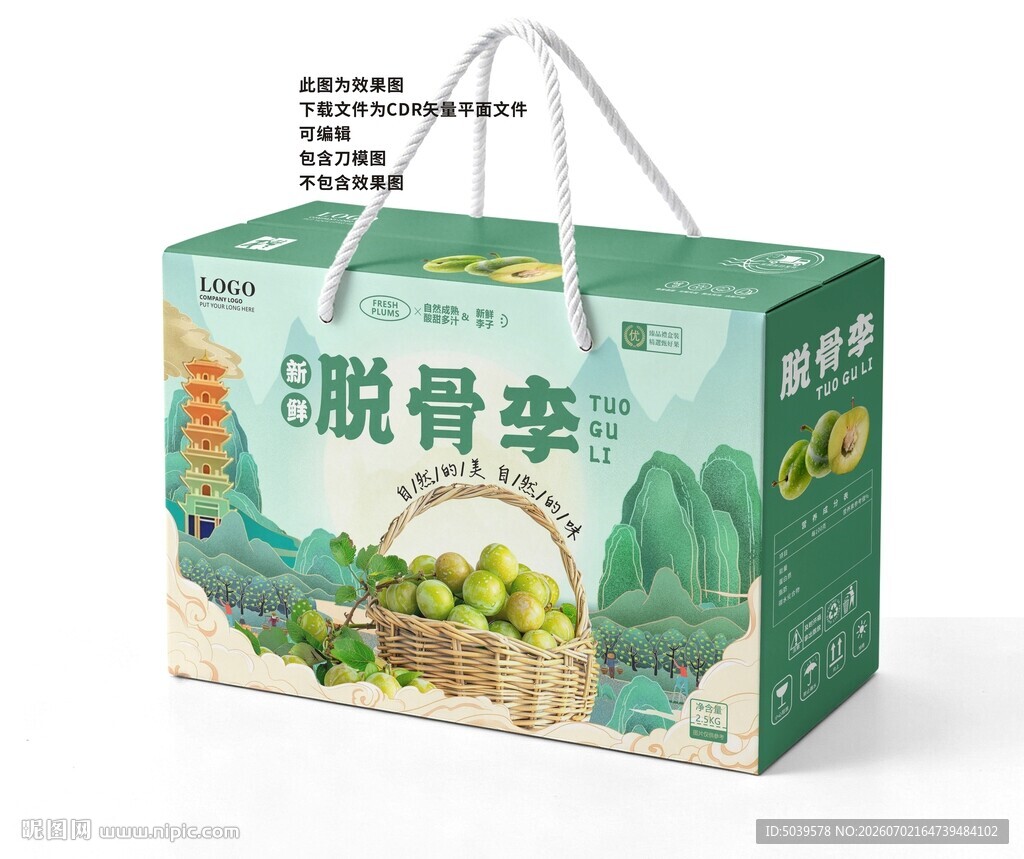 脱骨李手提礼盒包装